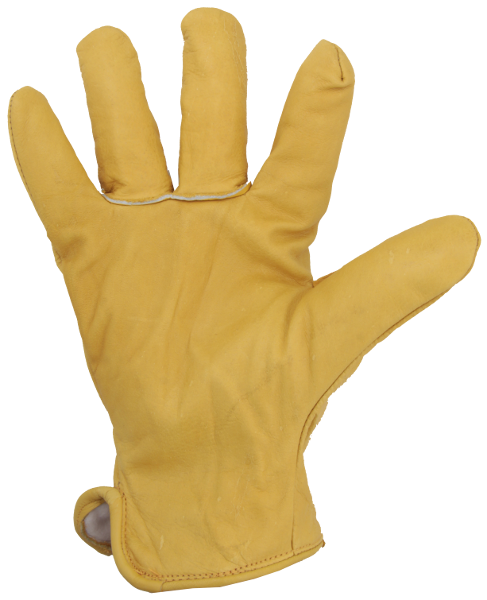 EUROTECHNIQUE 2480 ALASKA Lined Leather Gloves